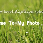 grass grass