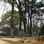 IMG_8448 IMG_8448